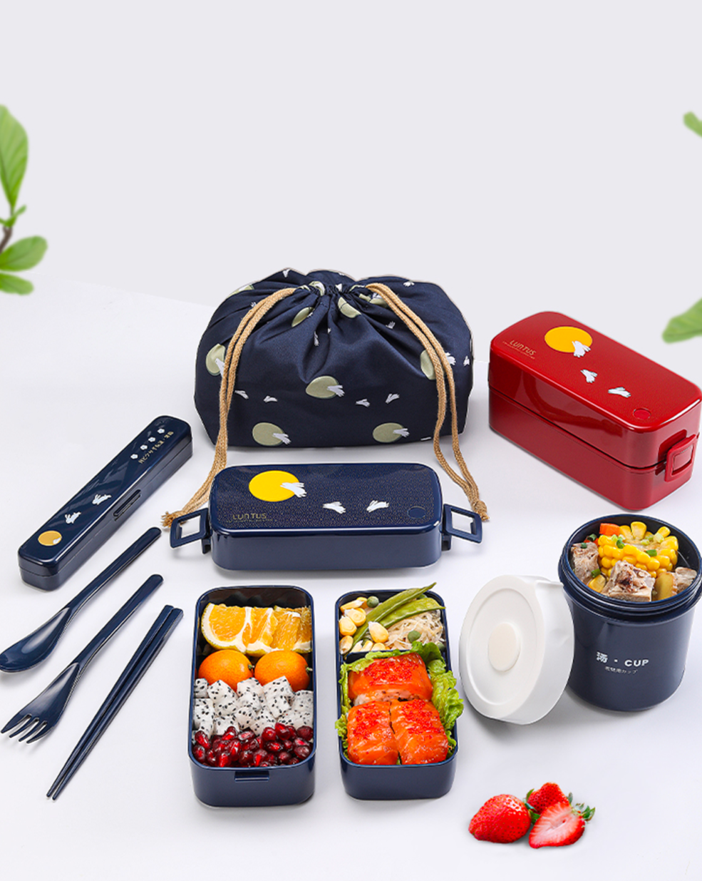 Ranchi Japanese Bento Lunch Box Set