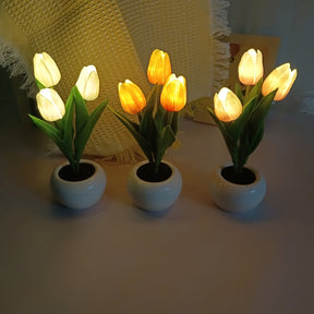 Creative Tulip Table Lamp