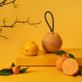 Lucky Orange Portable Brewing Tea Kit