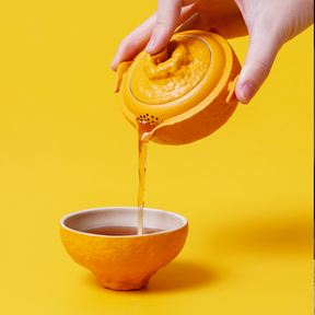 Lucky Orange Portable Brewing Tea Kit